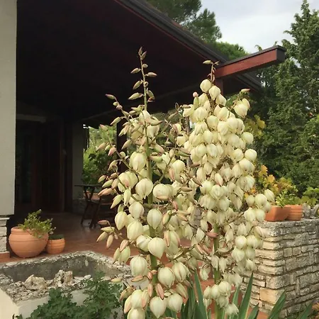 House Giovanni بيت للعطل *