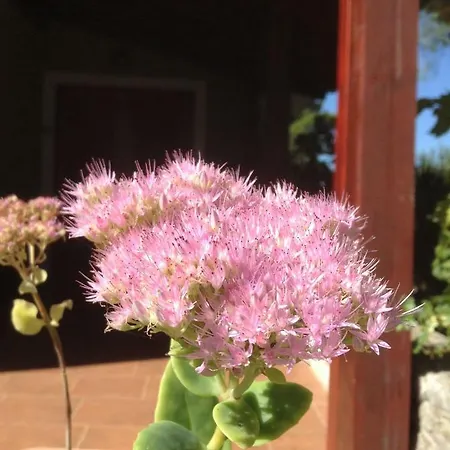 House Giovanni Hébergement de vacances *