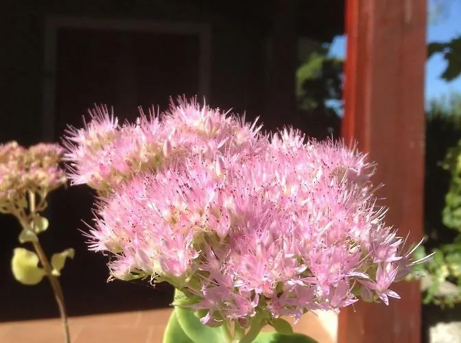 House Giovanni 펜션 *