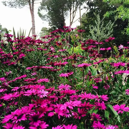 Prázdninový dům House Giovanni Premantura